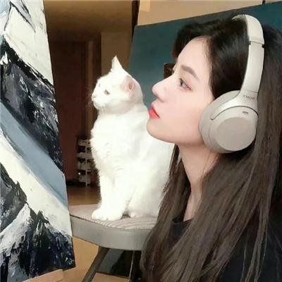 白宫也失眠