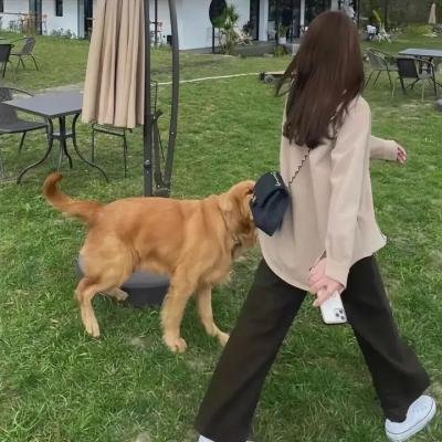 知晓天空之蓝的人啊